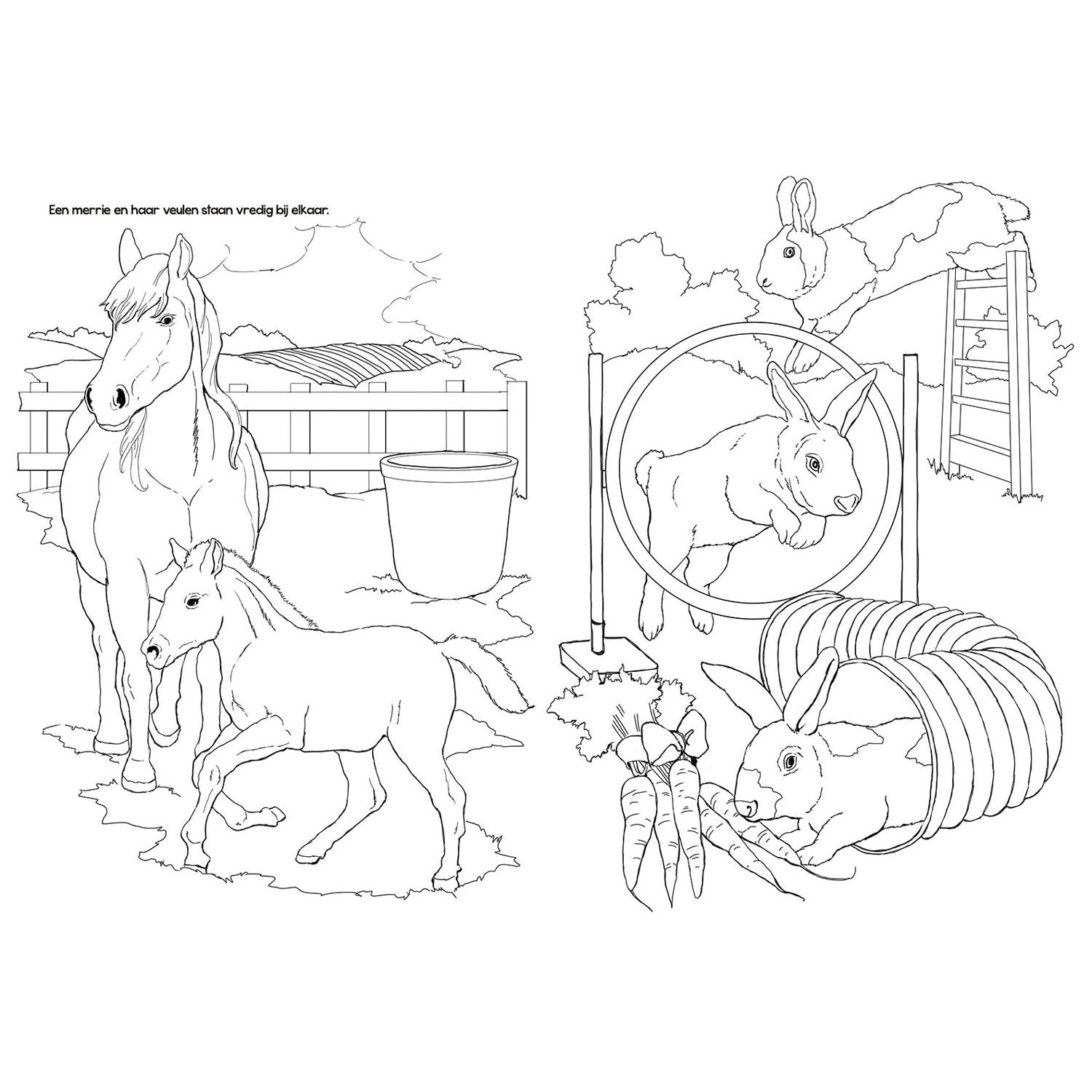 Selecta tactic boerderijdieren kleurboek - 48 pagina's - kleurboek voor kinderen - boerderij - vanaf 2 jaar