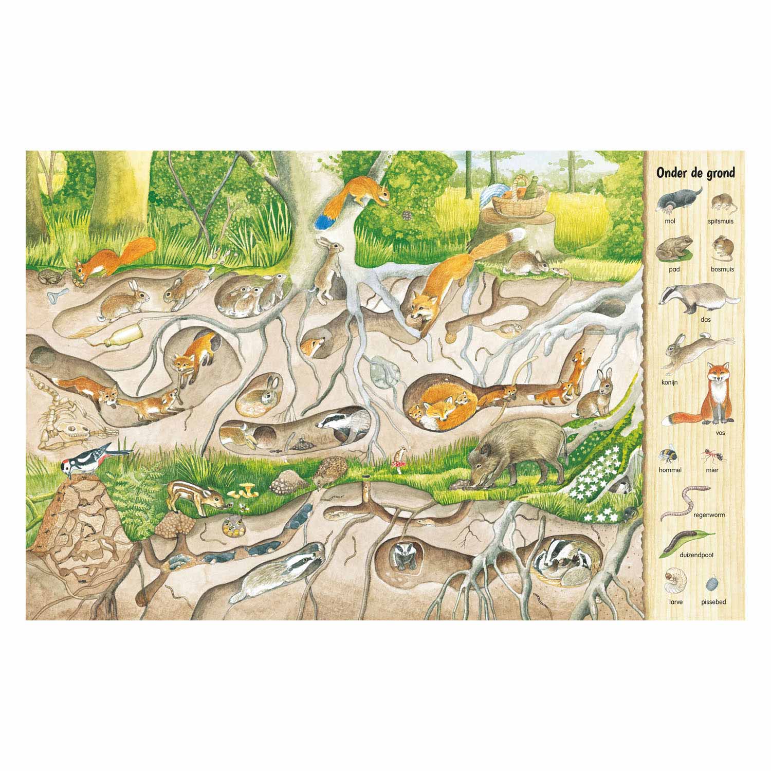 Deltas kijk- en zoekboek - in het bos