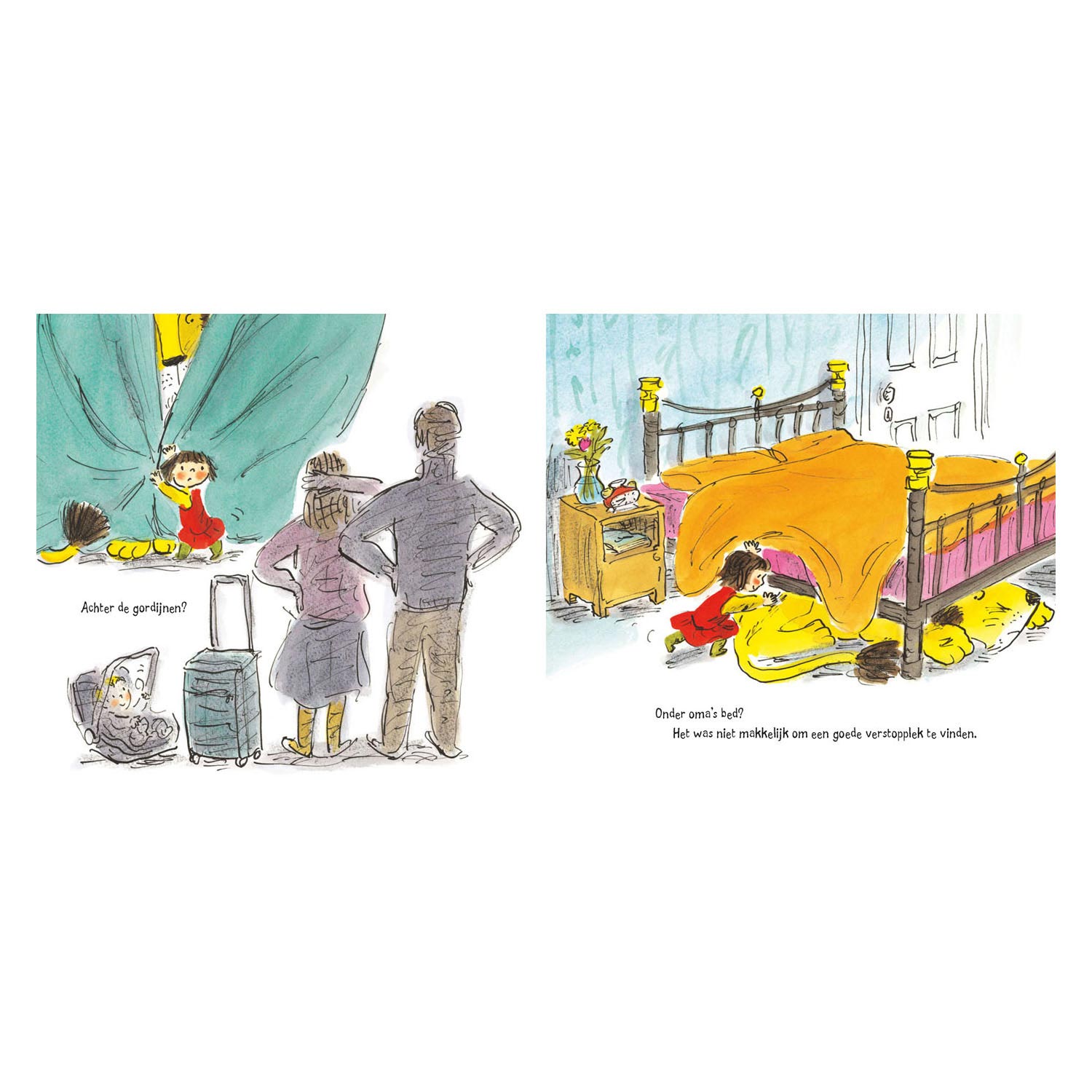 Deltas hoe verstop je een leeuw voor oma?