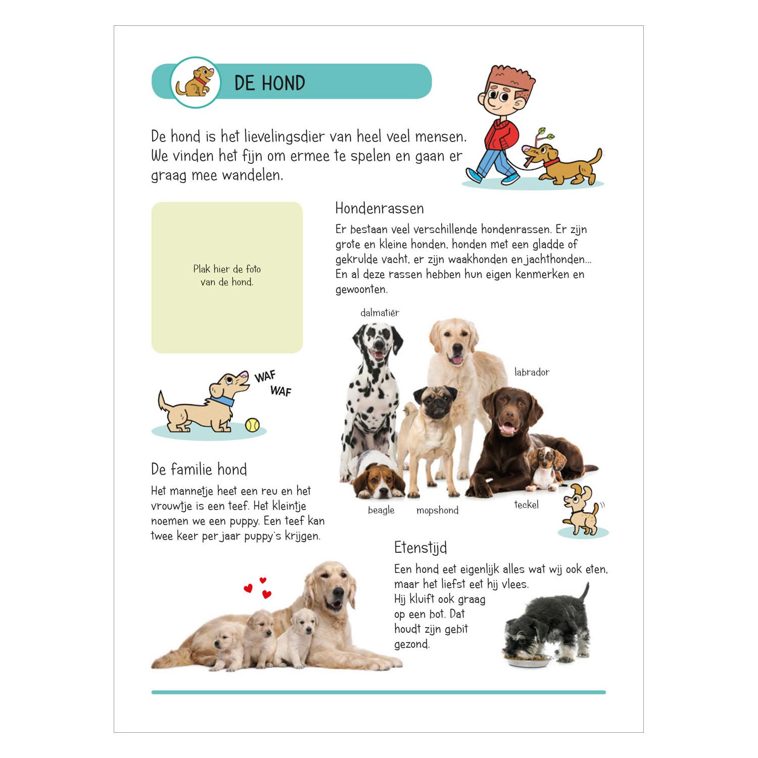 Stickerboek - Dieren in Huis en Tuin