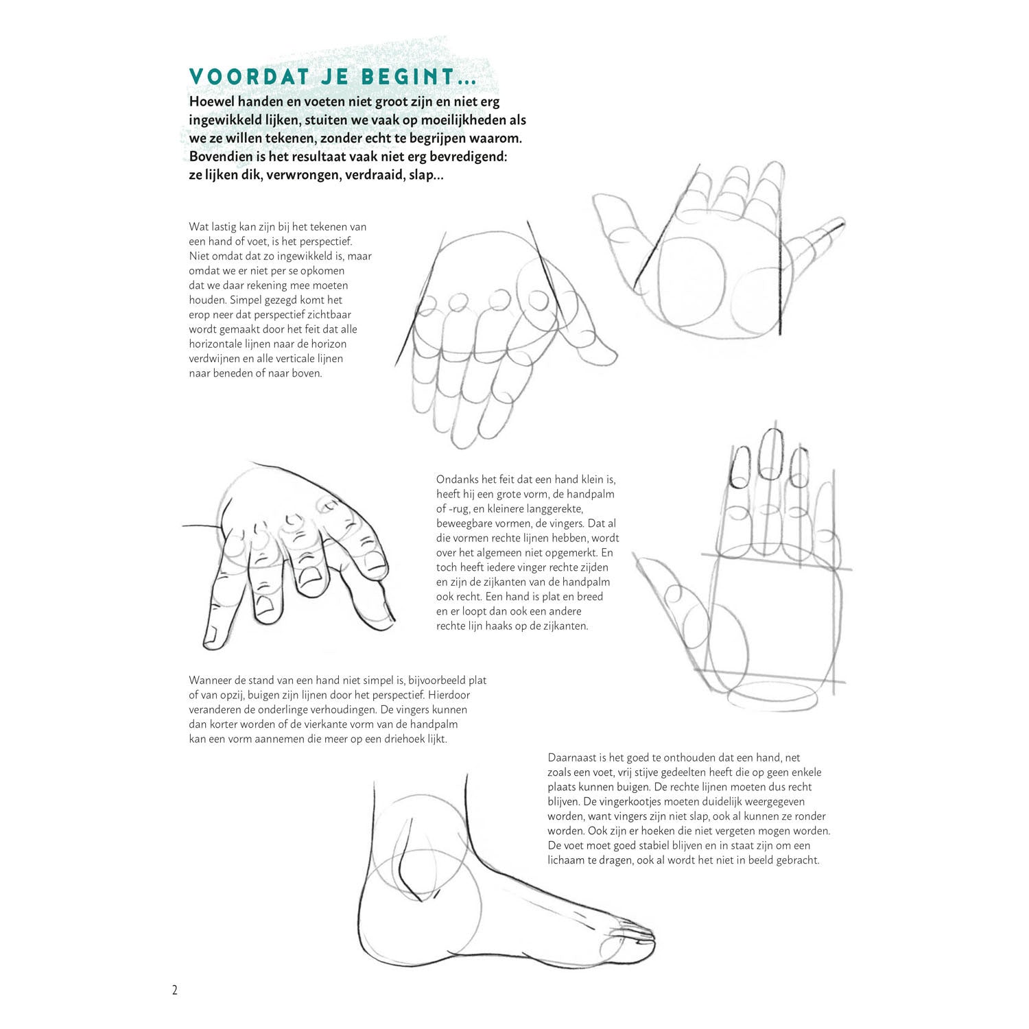 Deltas stap voor stap handen en voeten leren tekenen hobbyboek