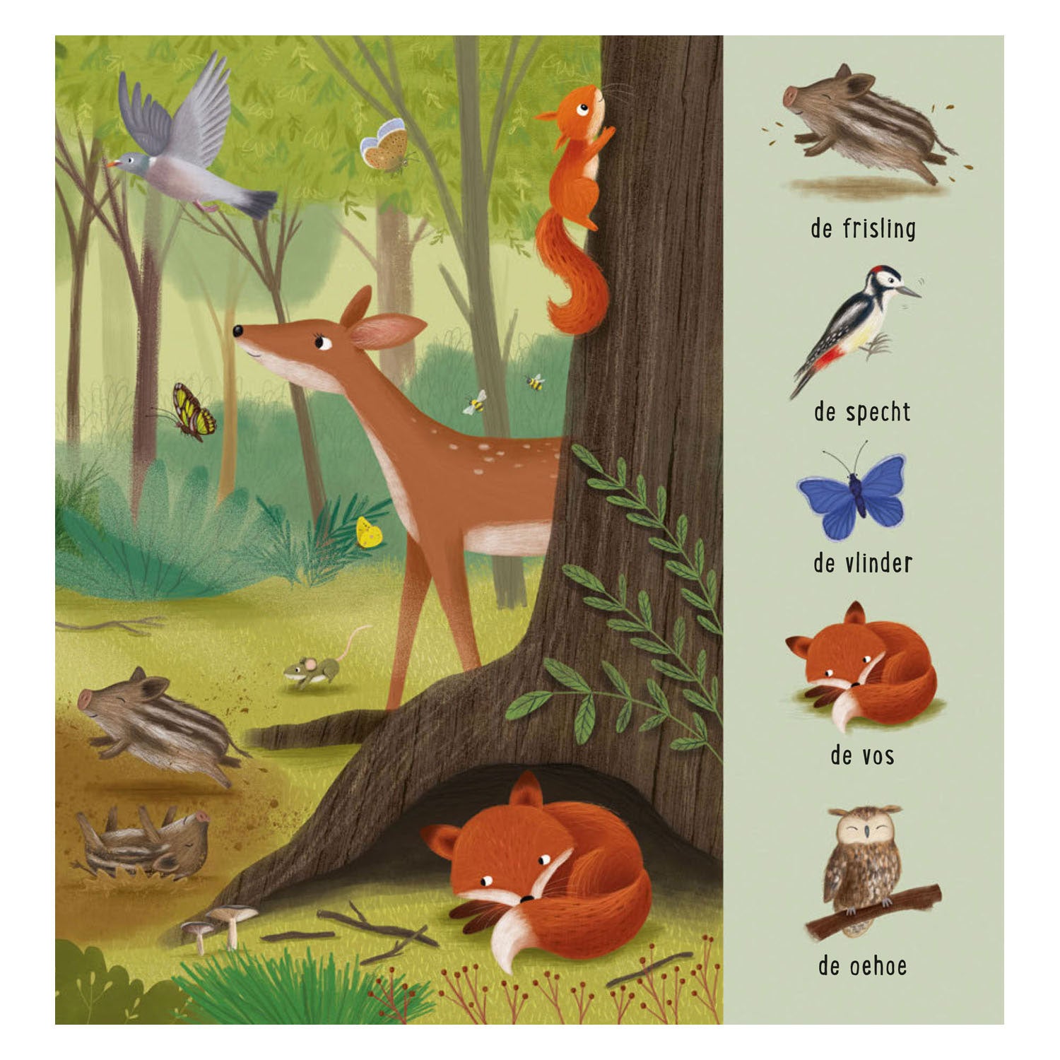 Deltas mijn eerste zoekboek - dieren in het bos