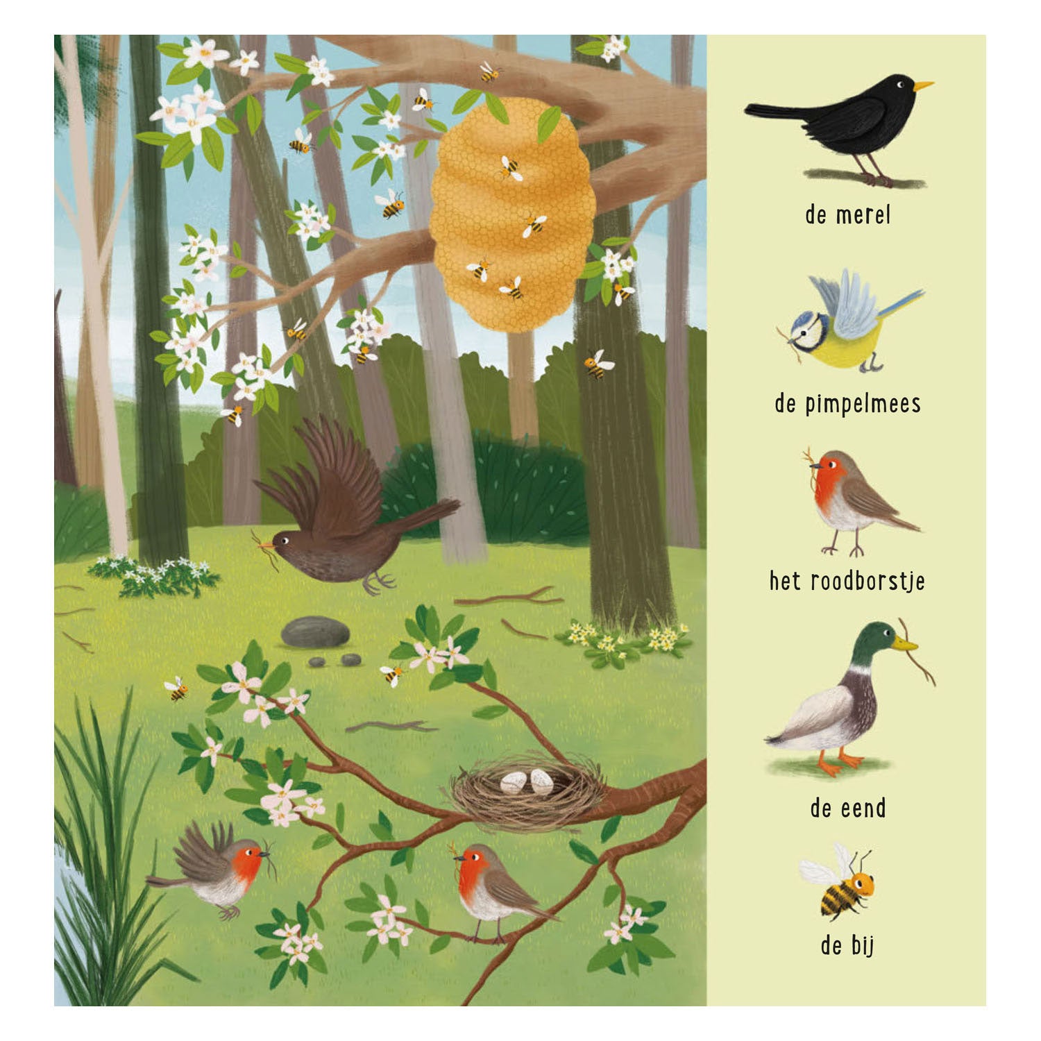 Deltas mijn eerste zoekboek - dieren in het bos