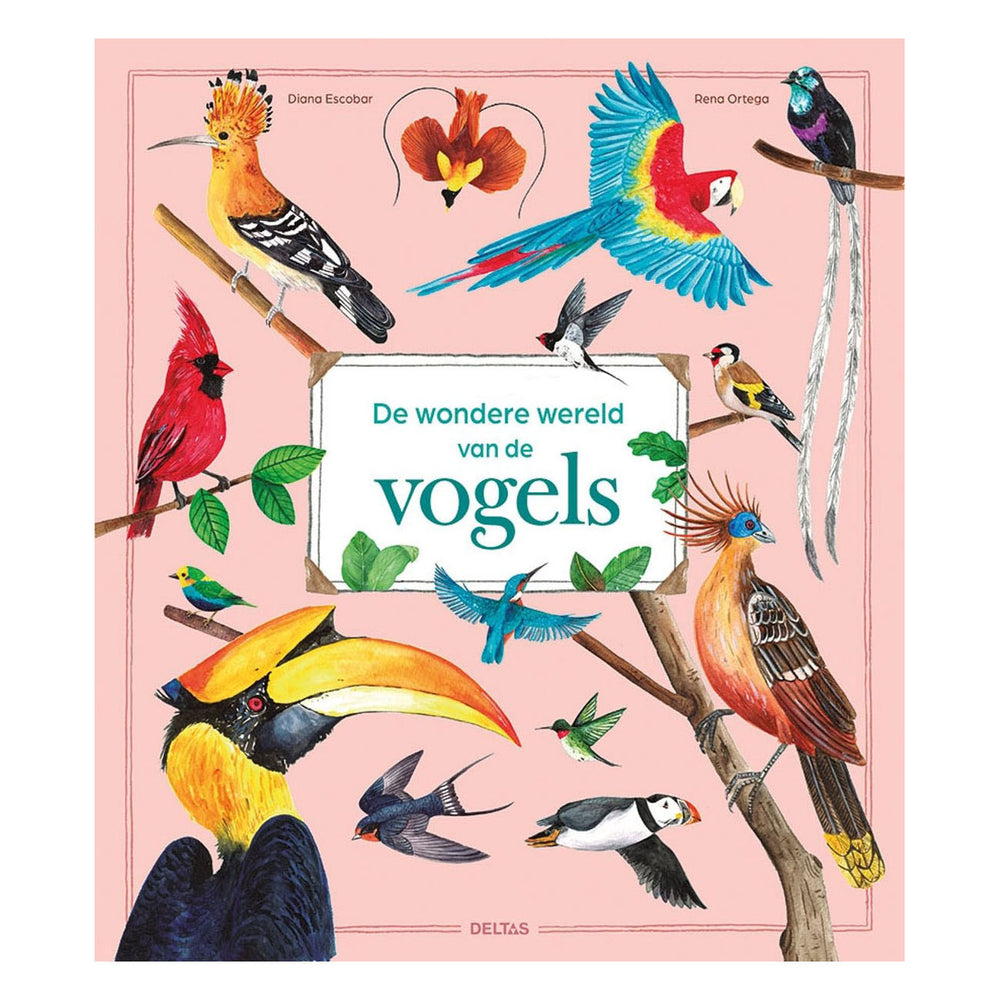 Deltas de wondere wereld van vogels