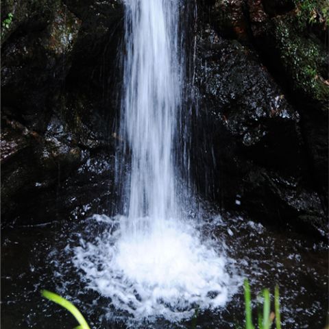 Filtre gris Marumi DHG ND8 67 mm