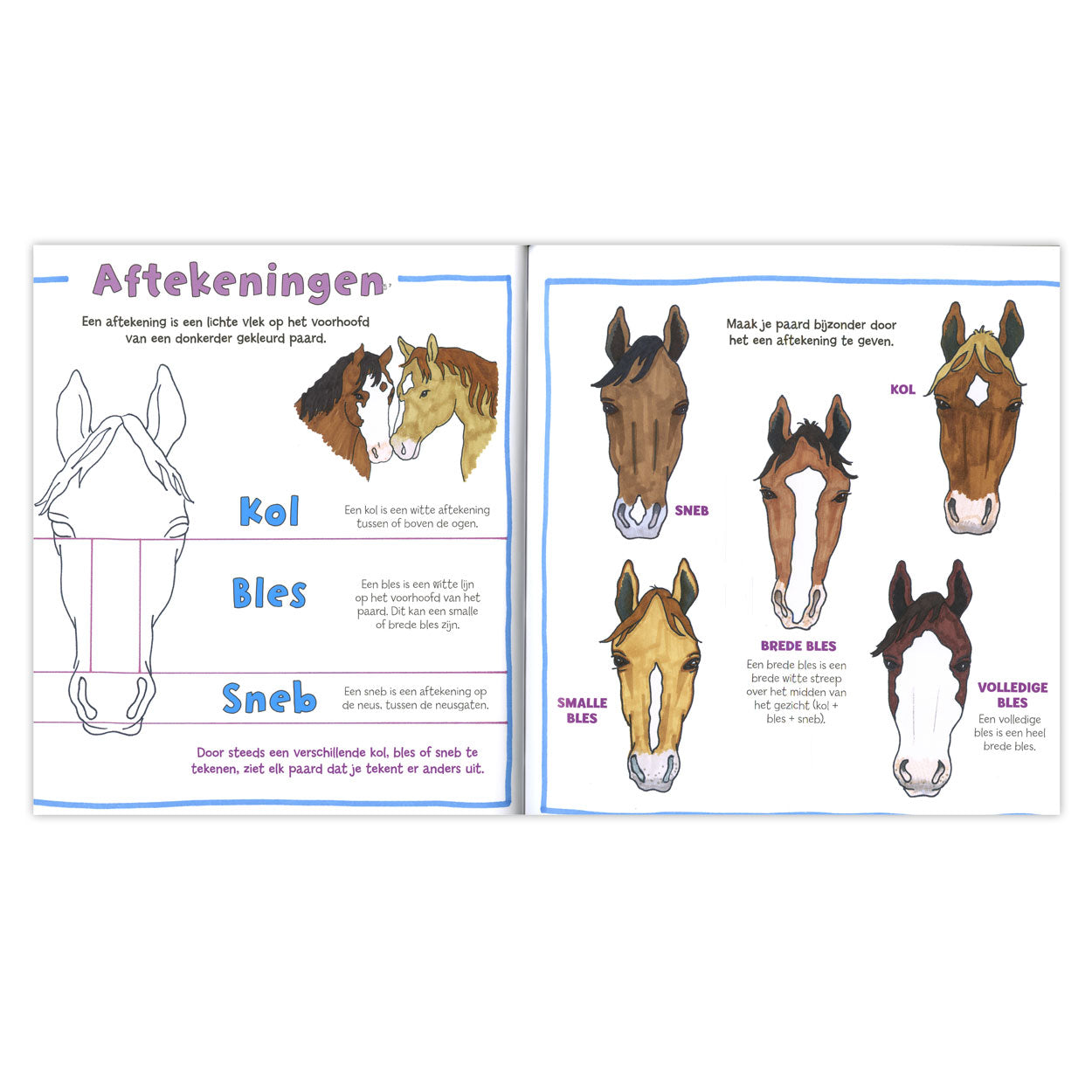 Deltas ik leer paarden tekenen