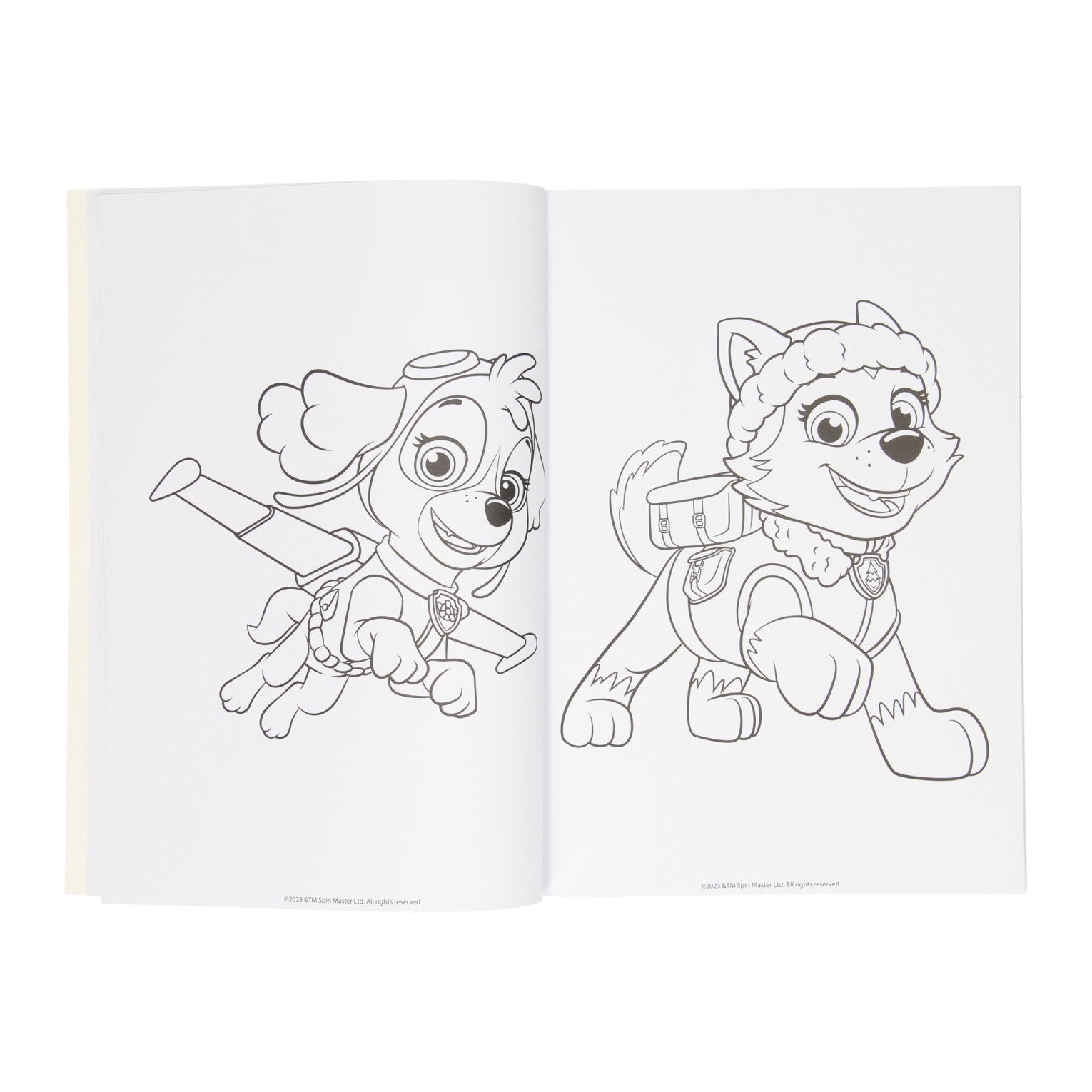 Wins Holland Paw Patrol kleurboek assorti