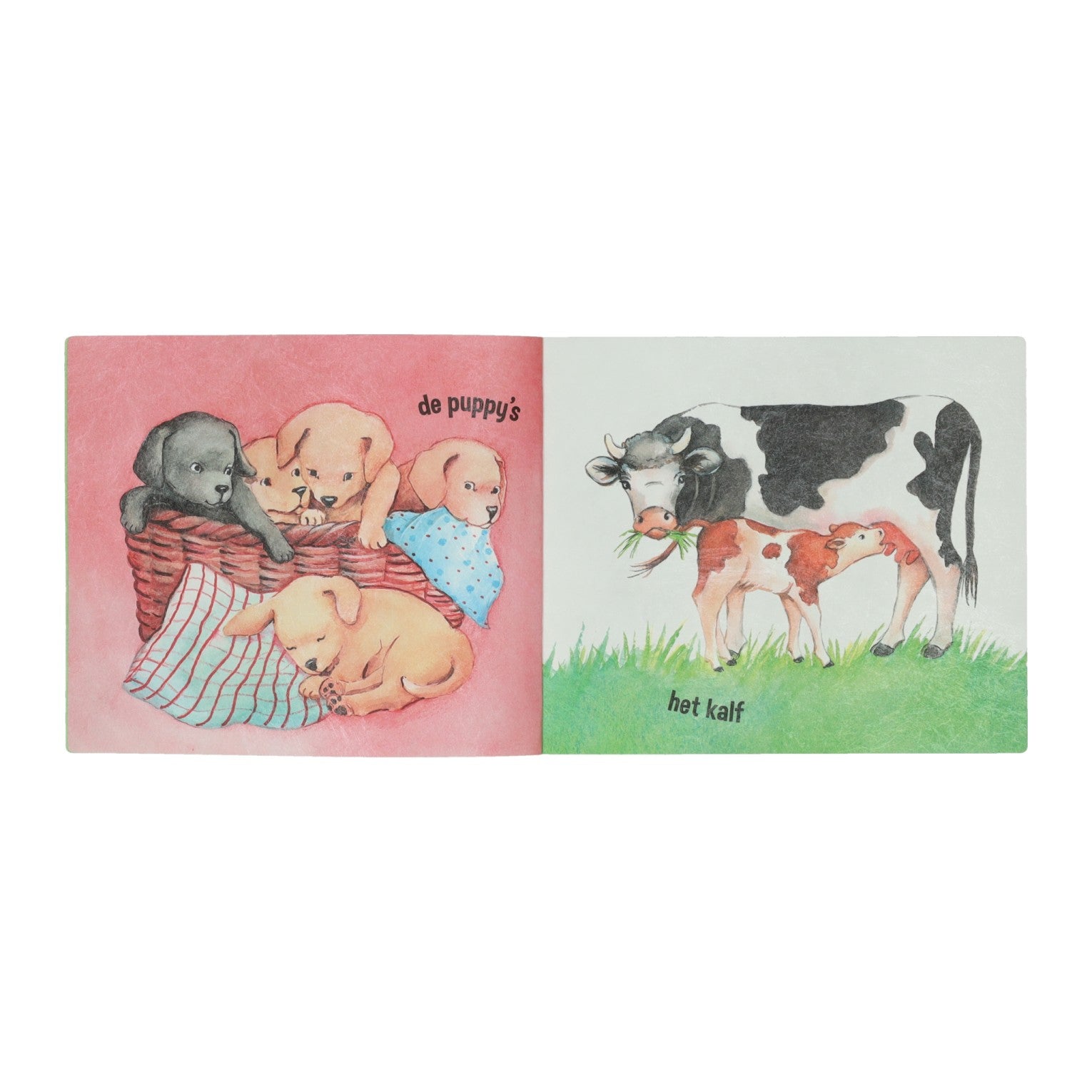 Scheur- en waterbestendig boekje - jonge dieren