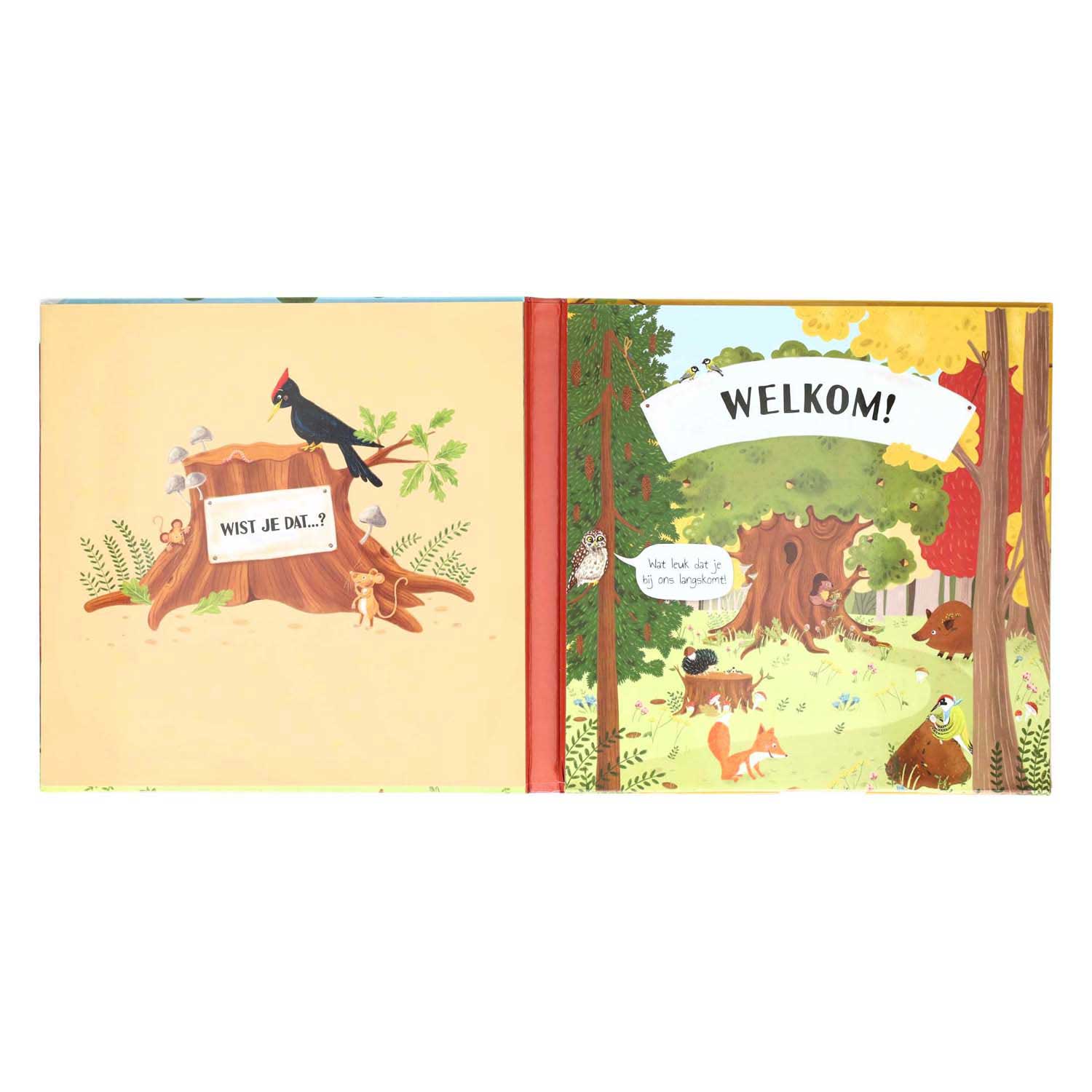 Boek specials nederland bv uitklap- en flapjesboek binnen in de boom