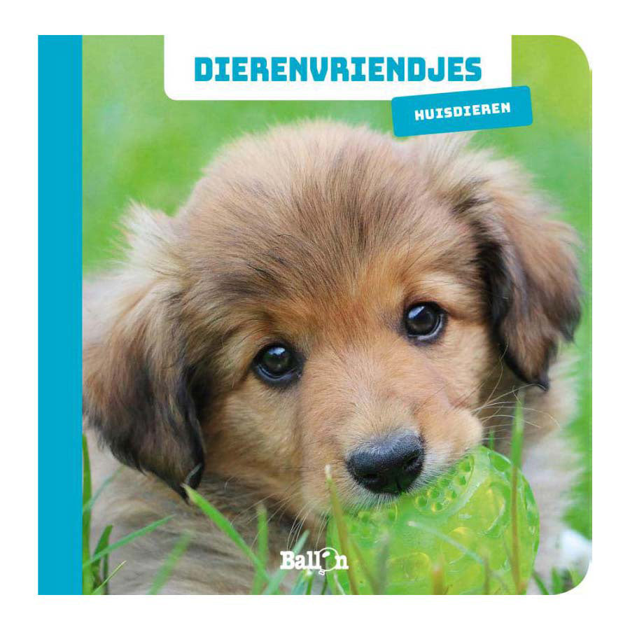 Wins holland dierenvriendjes kartonboekje huisdieren