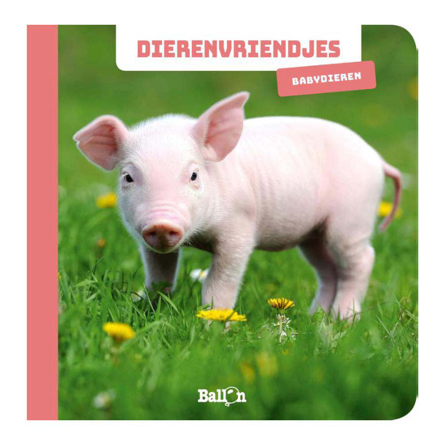 Wins holland dierenvriendjes - fotokijkboek babydieren