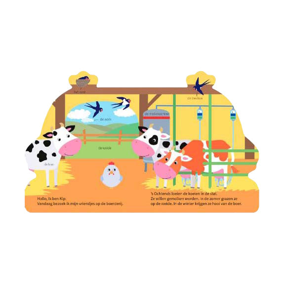 Wins holland kartonboek op avontuur met kip