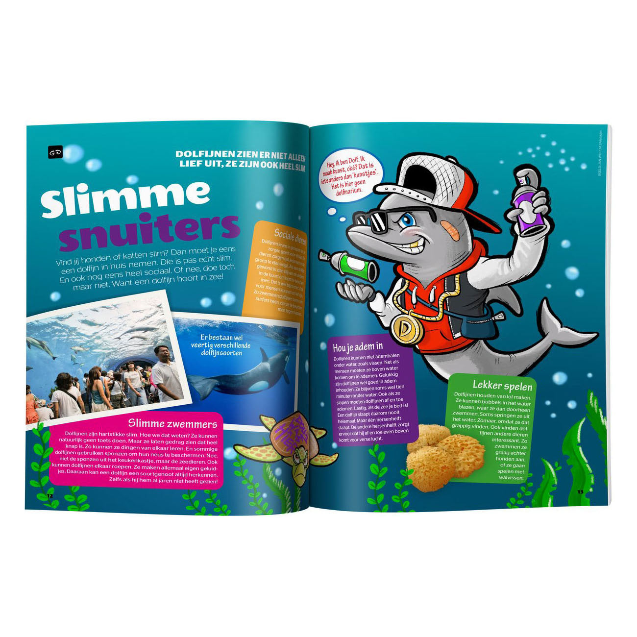 Boek specials nederland bv quest junior vakantieboek 2024