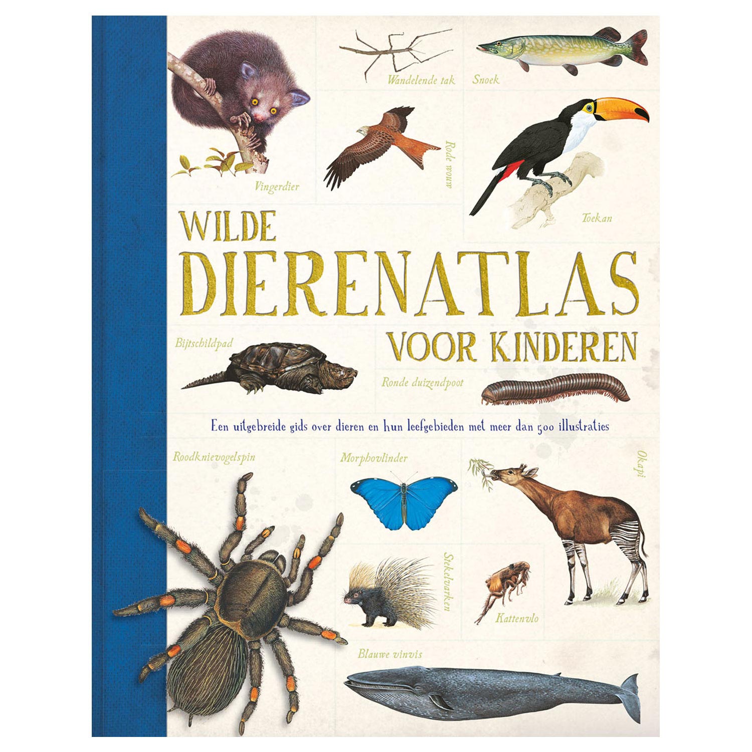 Rebo uitgeverij wilde dierenatlas voor kinderen