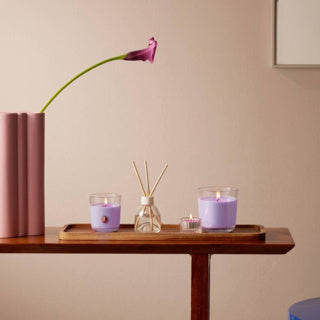 Bolsius giftset theelichten | 3 stuks