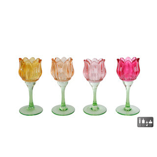 Theelichthouder tulip s 4 assorti glas 7x7x16cm