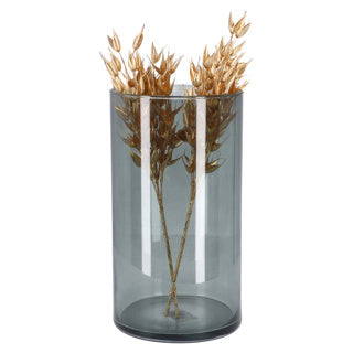 No brand vaas levi cylinder dark grey transp. h30 d16 | 2 stuks