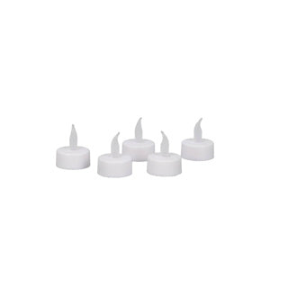 Daily home | 6 stuks