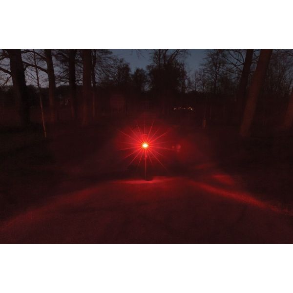 Axa dragerachterlicht juno e-bike 6-12 volt 80 mm - rood