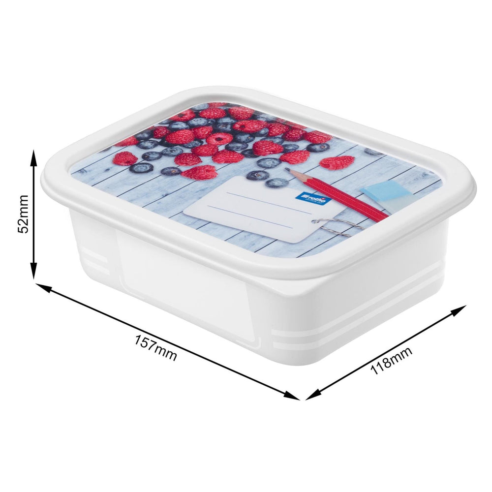 Rotho domino diepvriesdozenset 4-delig 0,5l etiket decor beschrijfbaar