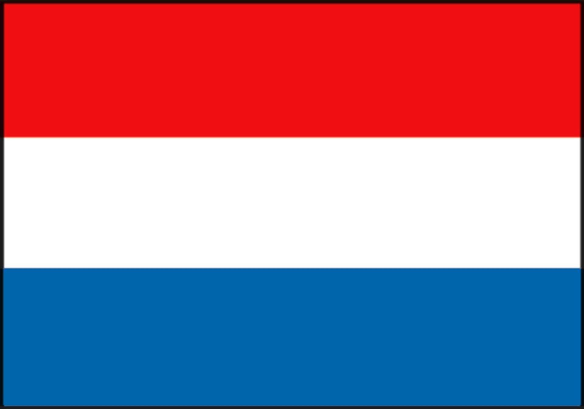 Dokkumer vlaggen centrale vlag nederland 200x300cm spun-poly