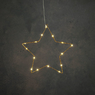 Edelman ster goud warm wit 15led battery operated - d34cm | 6 stuks