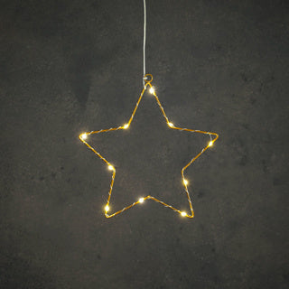 Edelman ster goud warm wit 10led battery operated - d25cm | 6 stuks