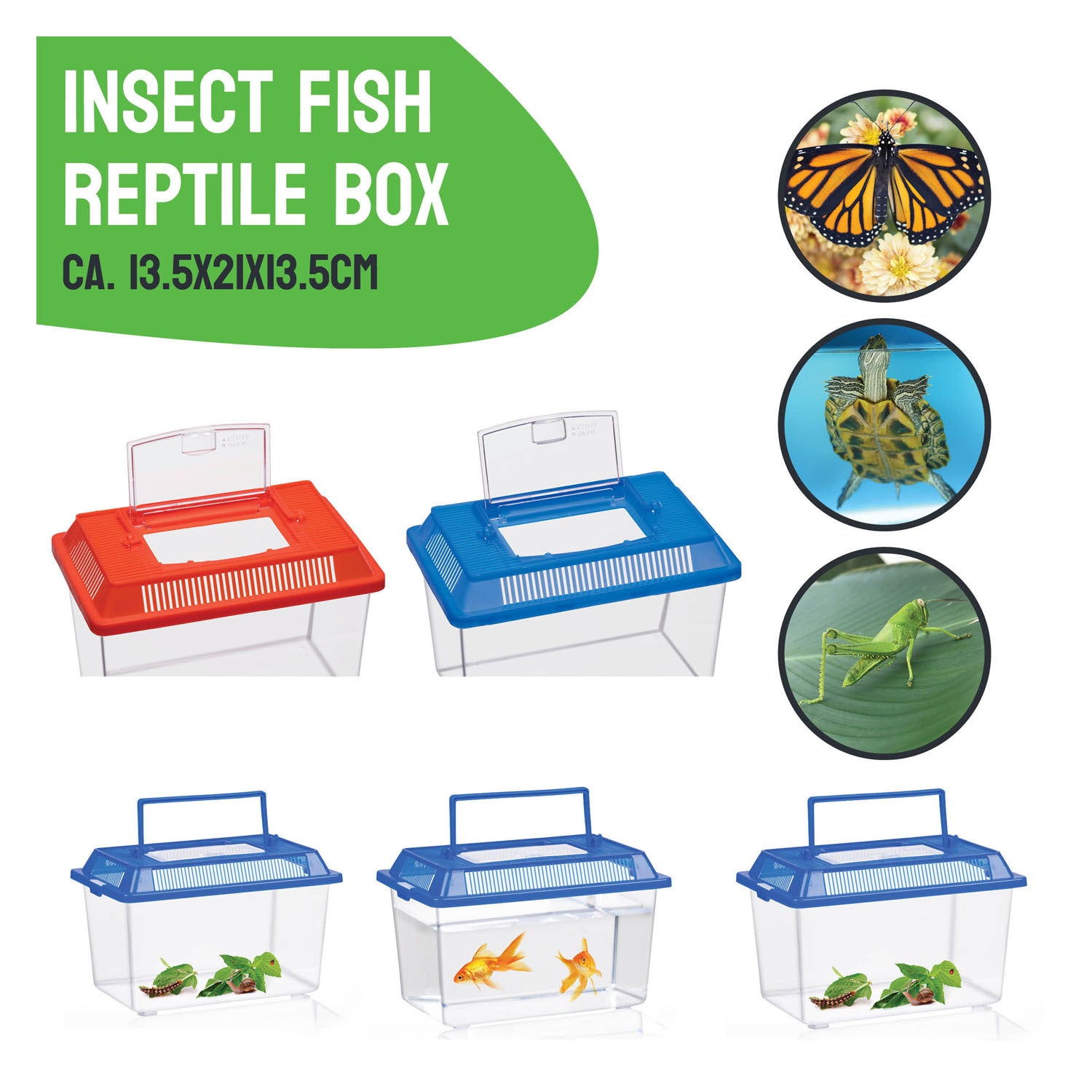 Insectenbox met deksel