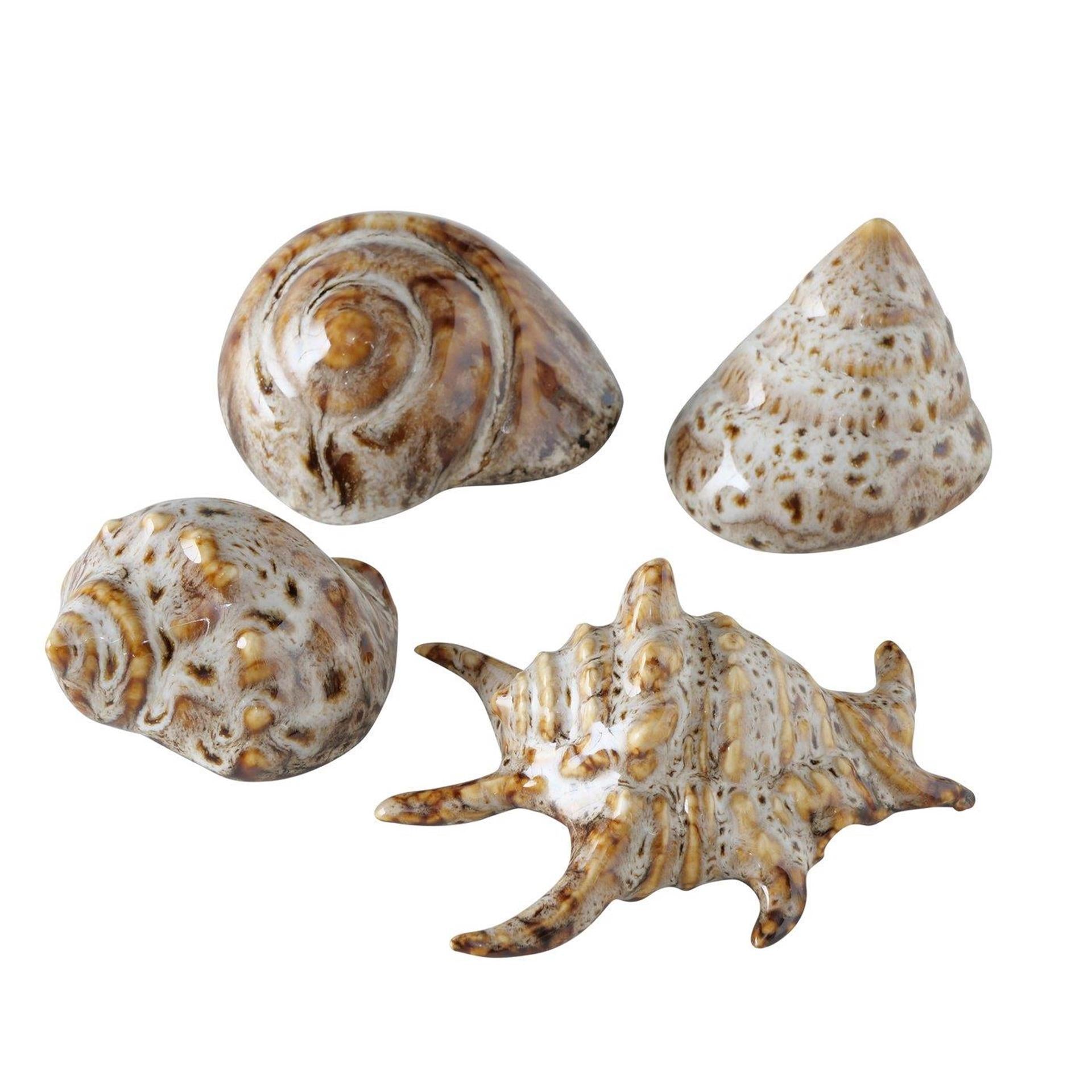 Boltze home decoratieve schelp 7x6x4cm beige bruin 4 assorti