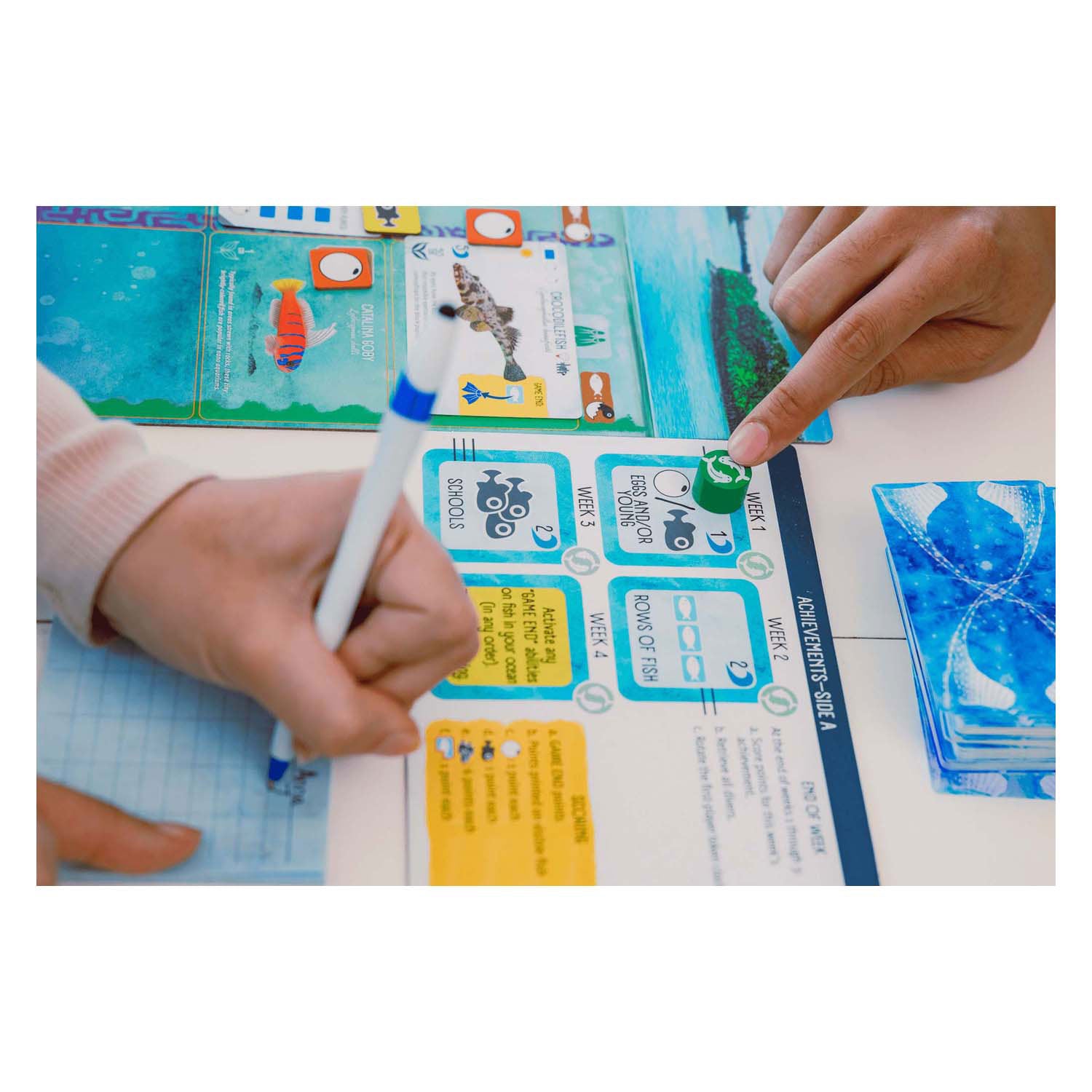 999games 999 games finspan bordspel