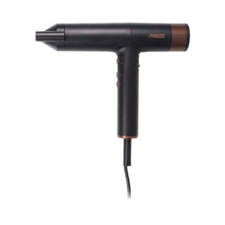 Prinses airstyler pro