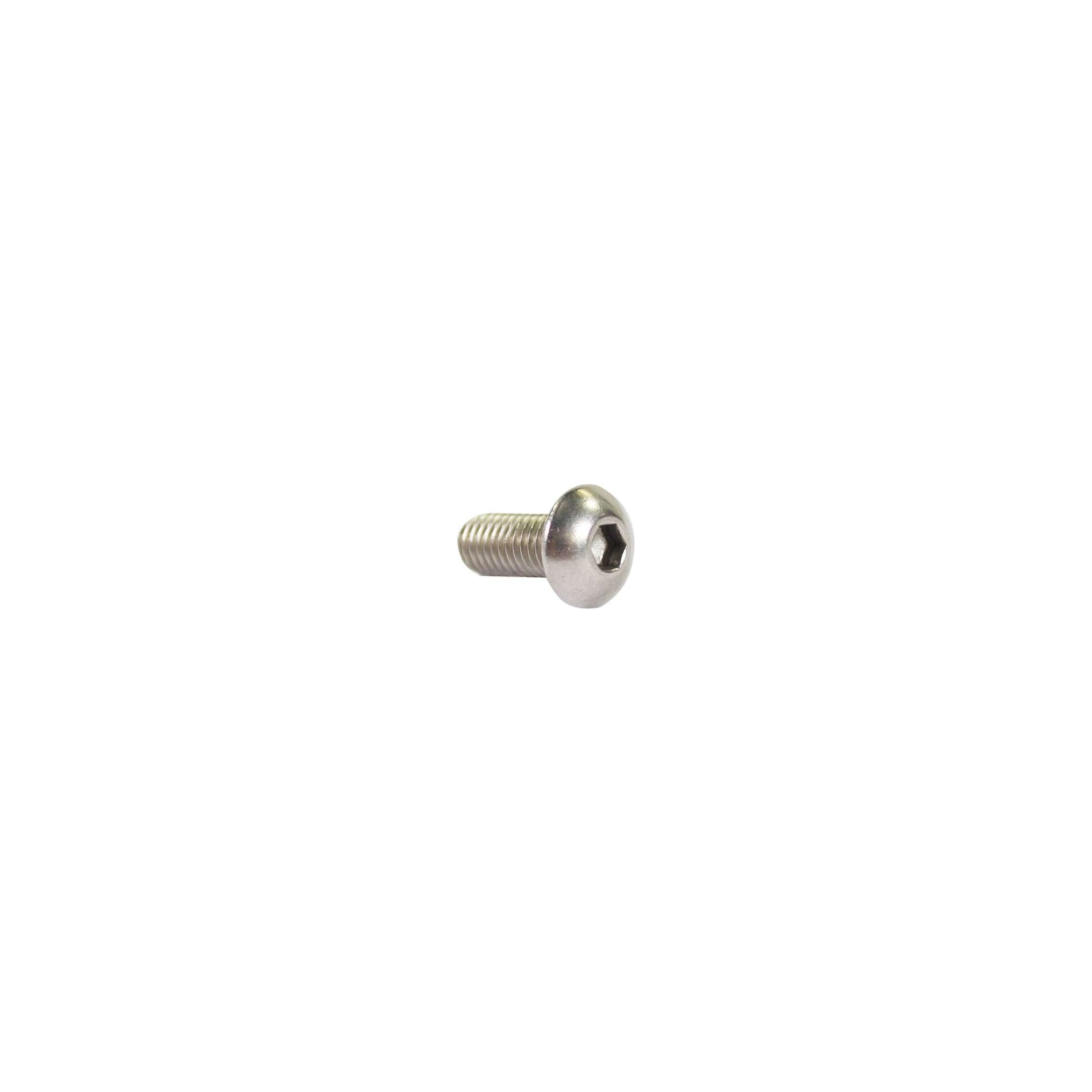 Bofix bout inbus bol m5x12 rvs (p25)