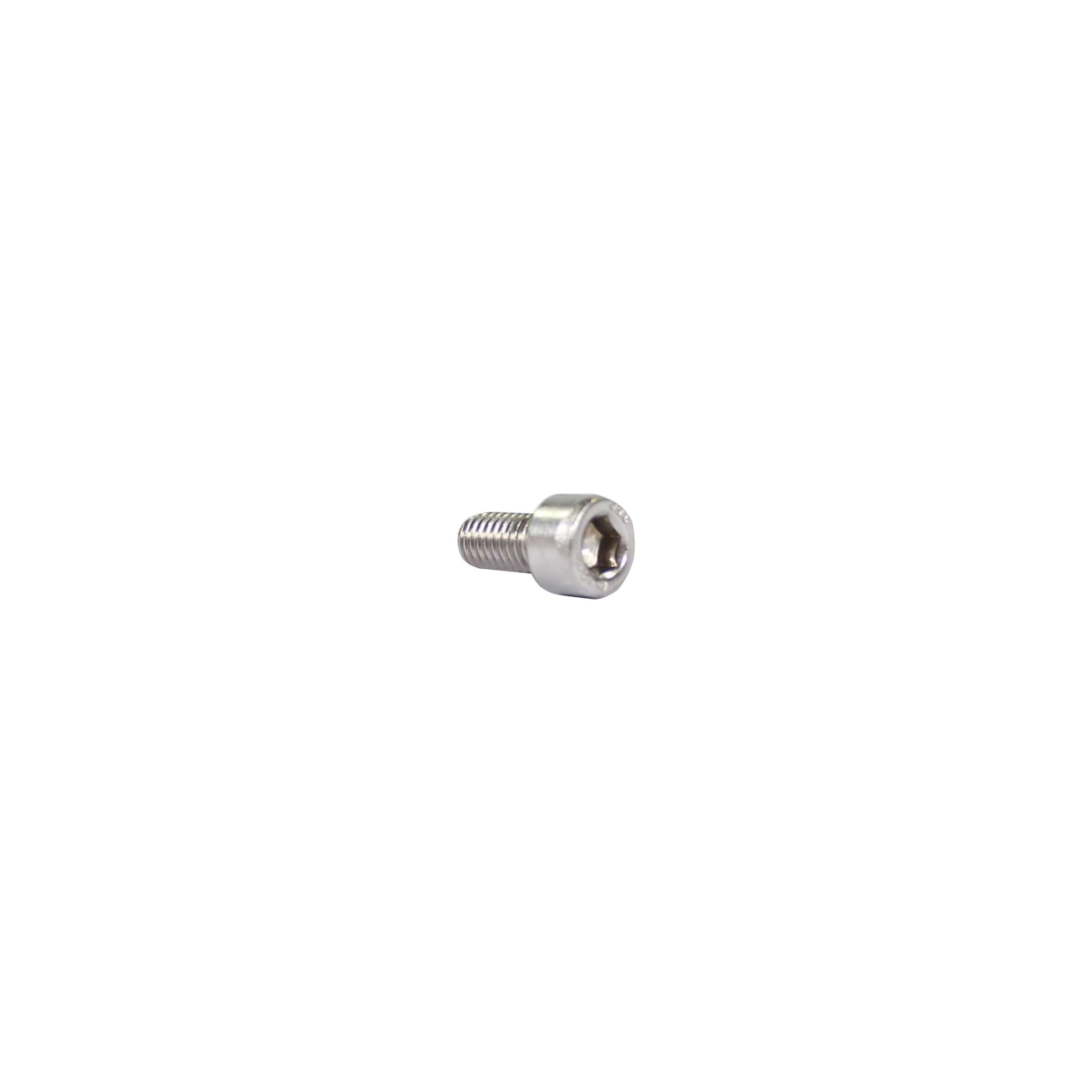 Inbusbout M6x12 RVS per 25