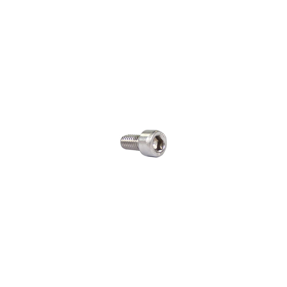 Inbusbout M6x12 RVS per 25
