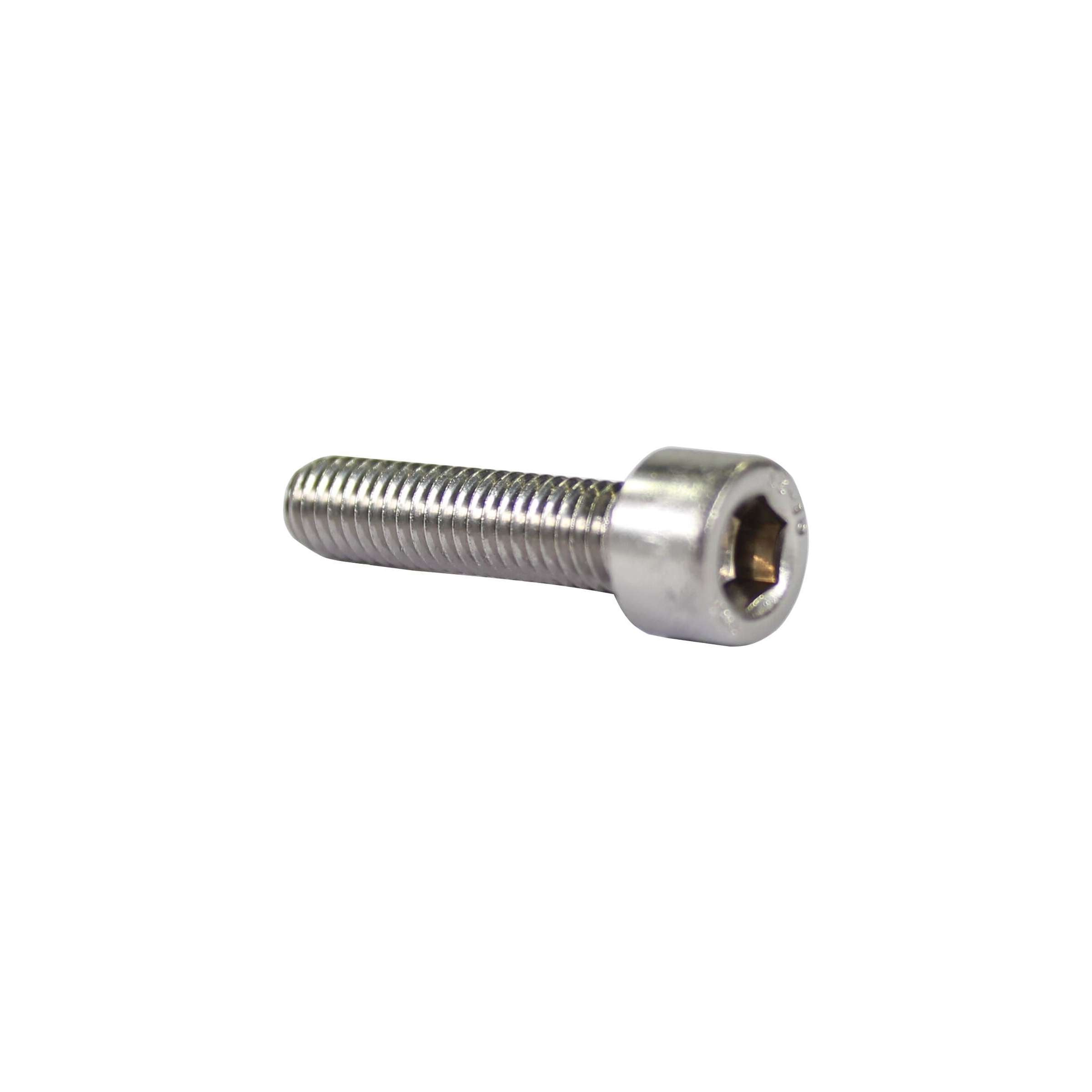 Inbusbout M6x25 RVS per 25