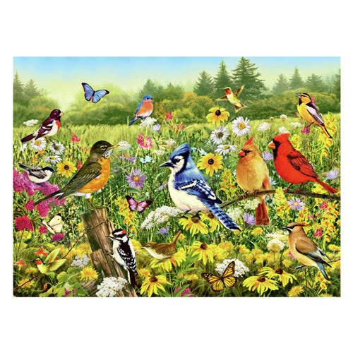 Ravensburger legpuzzel vogels in de wei, 1000st.