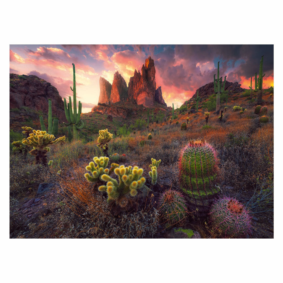 Ravensburger legpuzzel cactus, 500st.