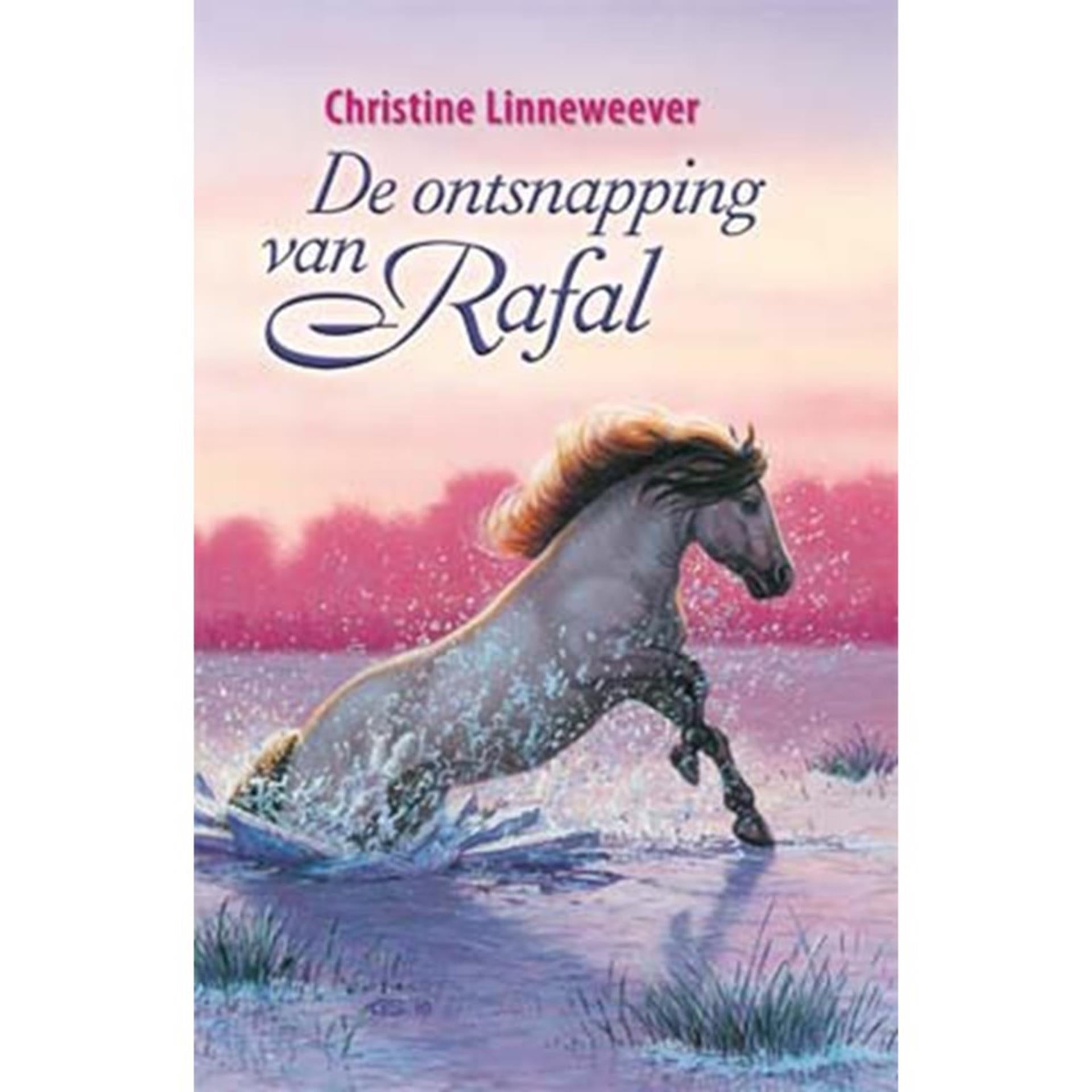 Uitgeverij kluitman paarden gouden: de ontsnapping van rafal