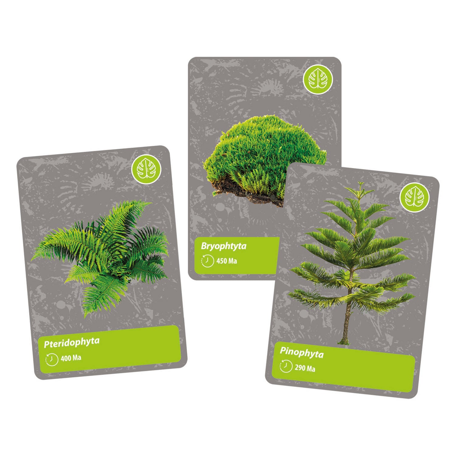 Clementoni Wetenschap en Spel Geschiedenis van Leven op Aarde