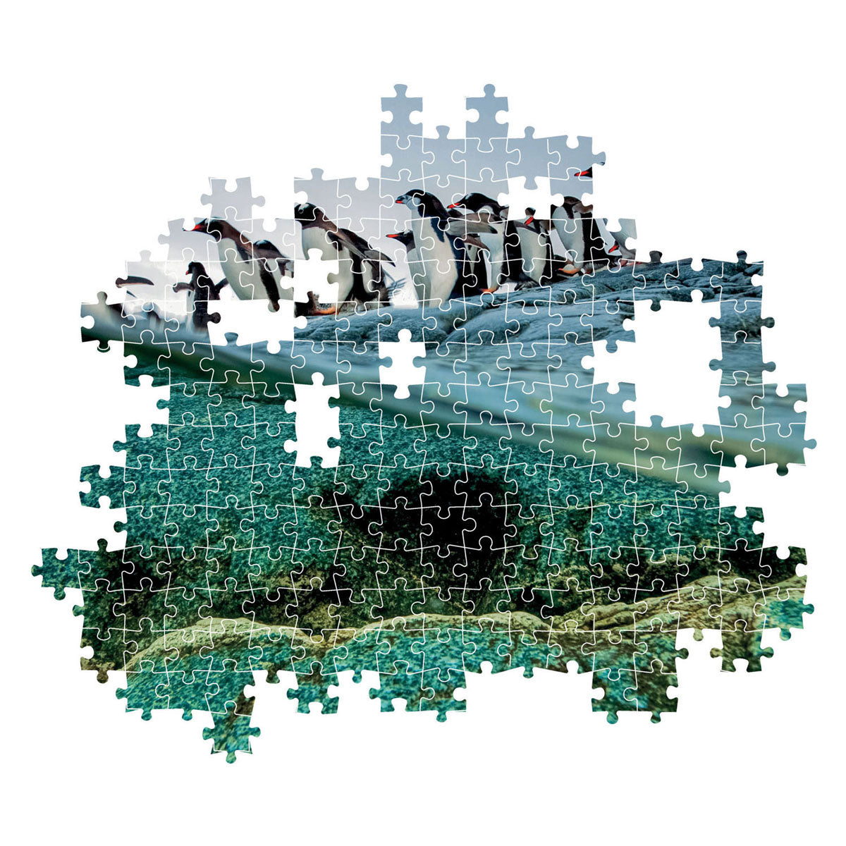 Clementoni Legpuzzel National Geographics - Penguin, 1000st.