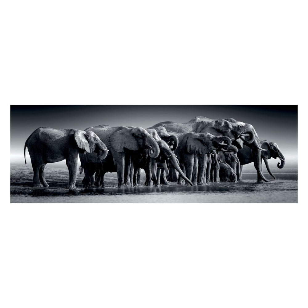 Clementoni legpuzzel panorama herd of giants, 1000st.