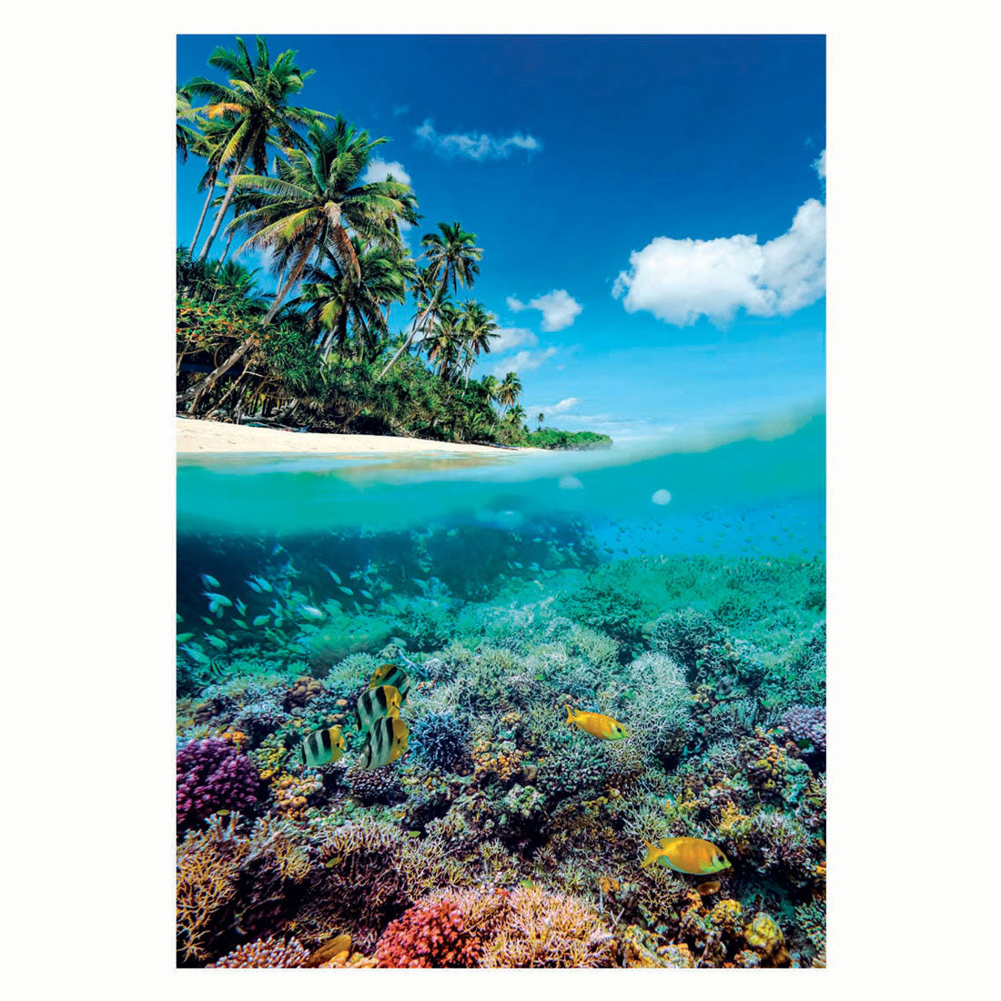 Clementoni legpuzzel zomerparadijs, 1000st.