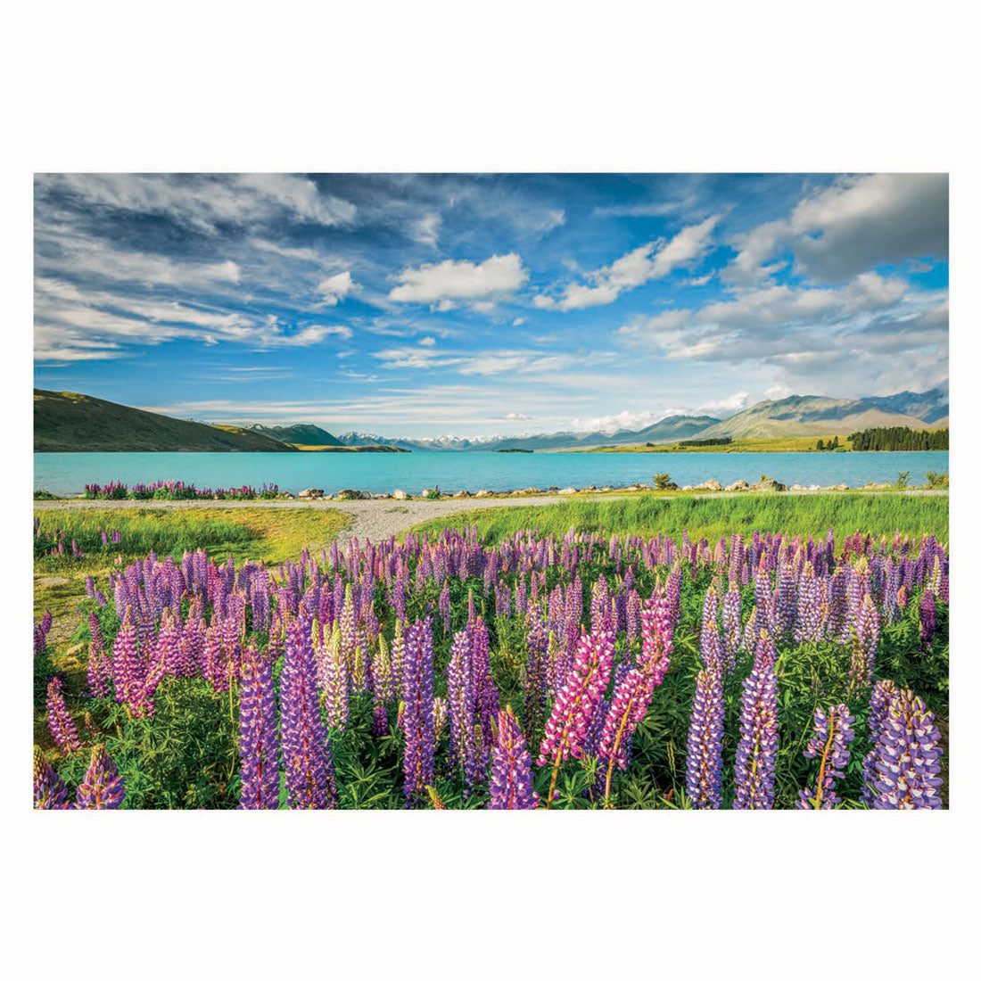 Clementoni legpuzzel bloemen bij lake tekapo, 1500st.