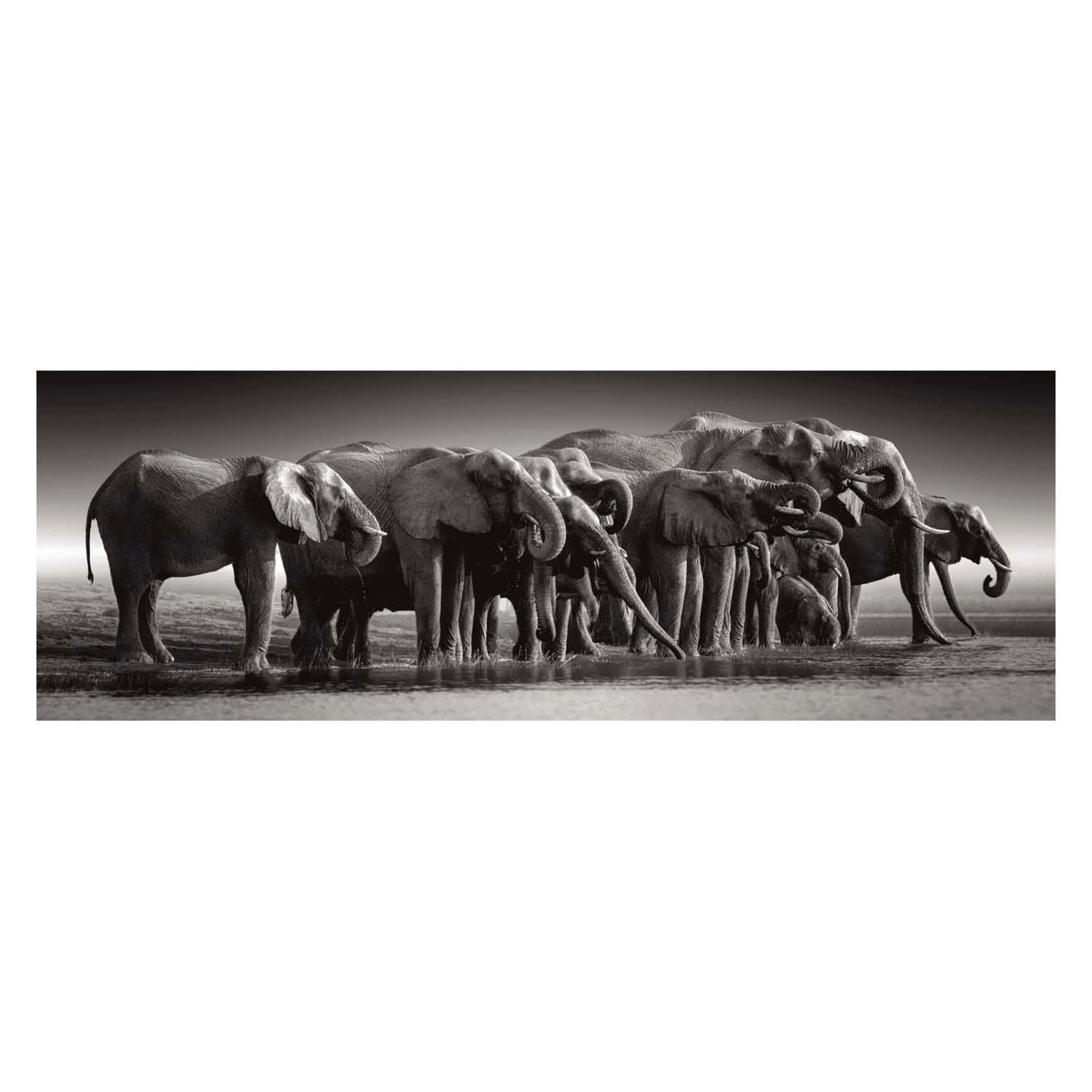 Clementoni legpuzzel herd of giants, 1000st.