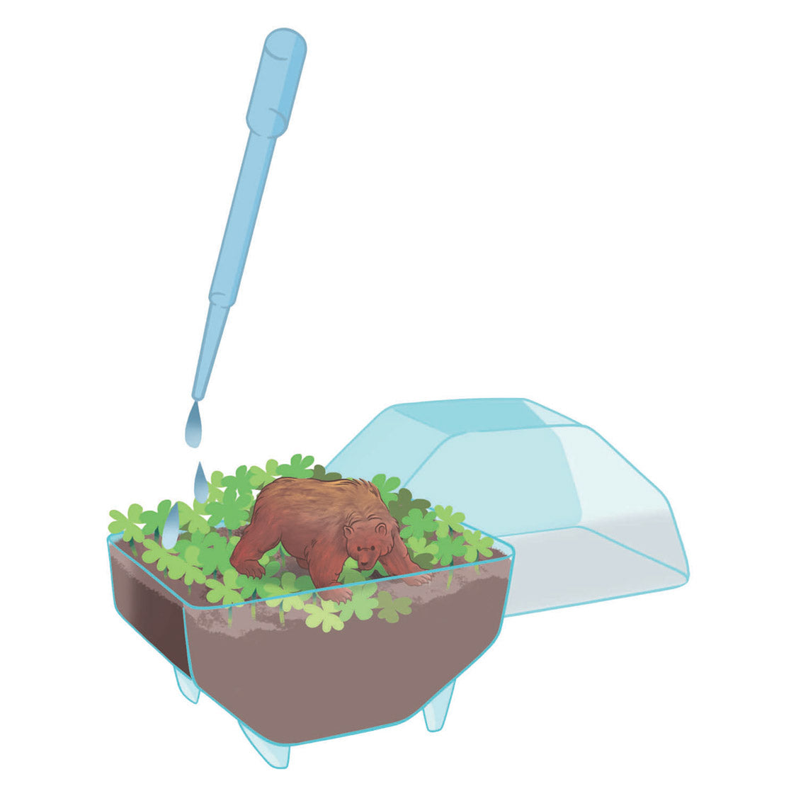 Clementoni wetenschap spel my wild terrarium - beer