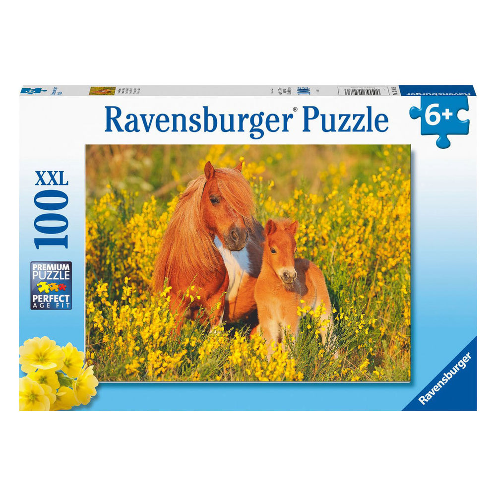 Ravensburger Shetland Ponies, 100pc. XXL
