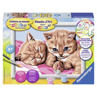 Ravensburger Paint by Number Cat Rabbit Puppy Horse Assorted | 4 pieces