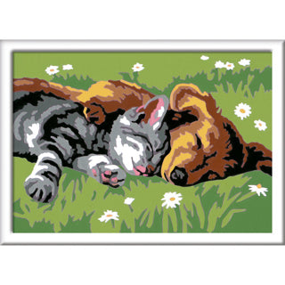 Ravensburger creart sleeping cats and dogs - schilderen op nummer voor kinderen