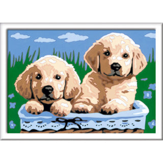 Ravensburger creart schilderen op nummer - schattige puppies