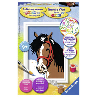 Ravensburger schilderen op nummer paardenblik - hobbypakket
